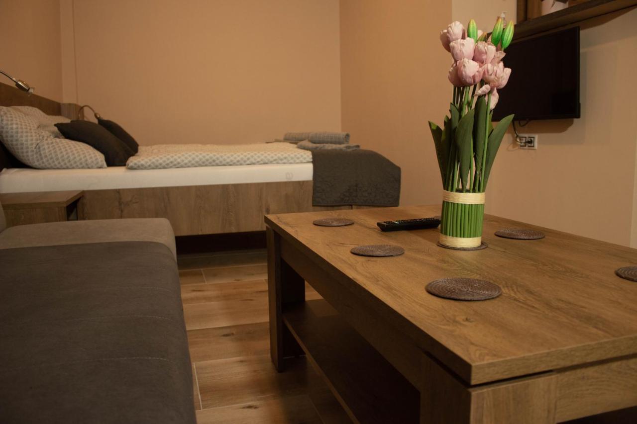 Apartmany Pilot Velka Hledsebe エクステリア 写真